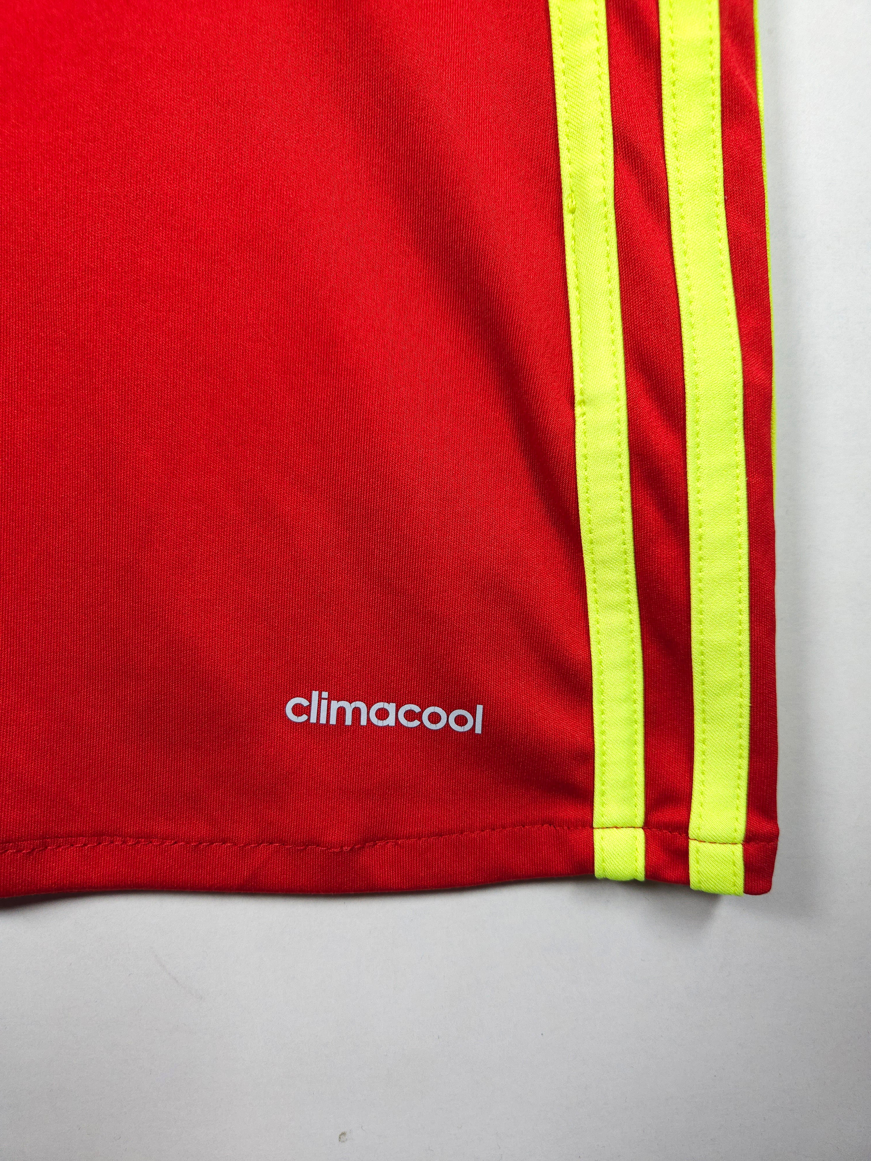 Belgium Home Shirt 2016-17