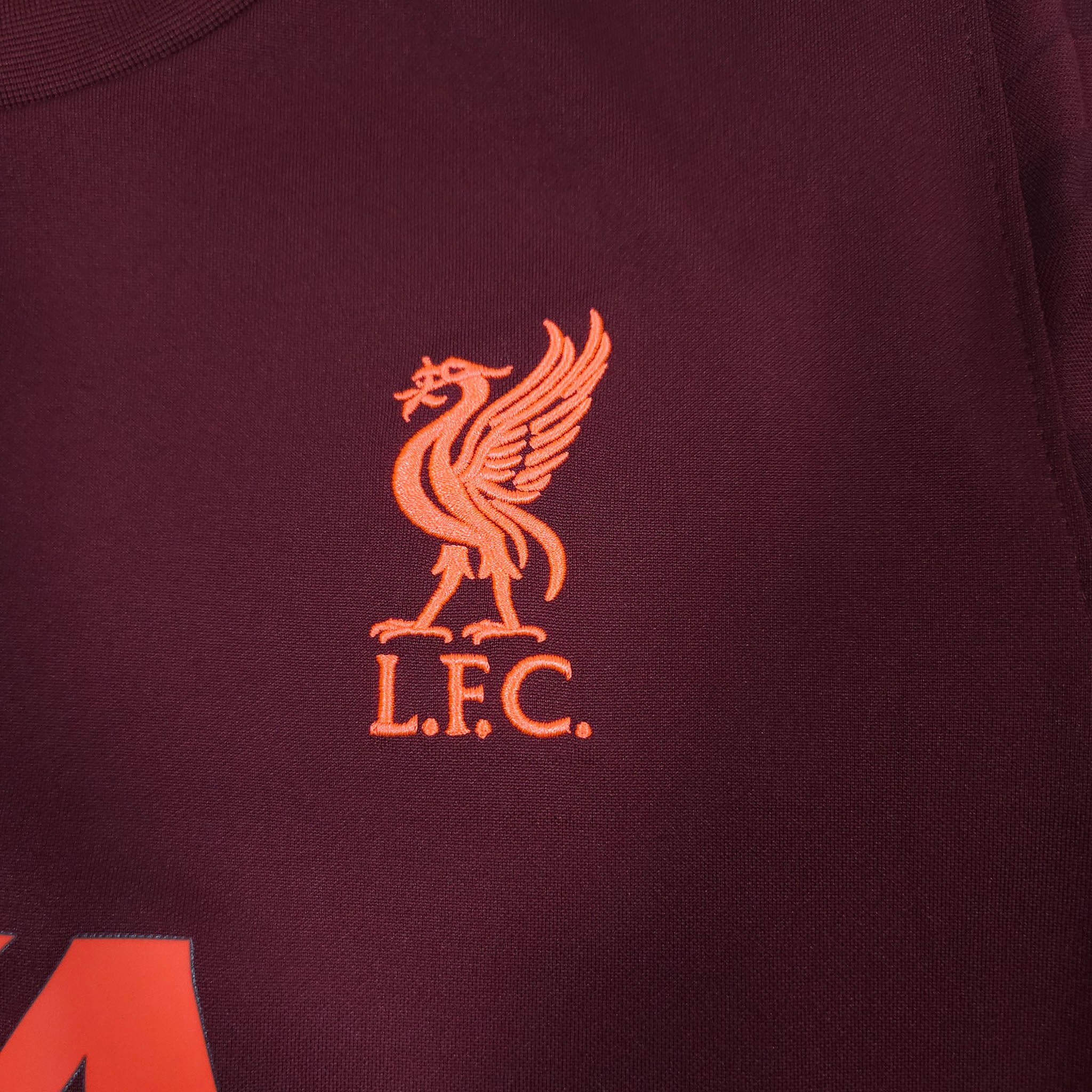 Liverpool Training Shirt 2021-22 detailed view 3