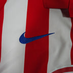 Atletico Madrid Home Shirt 2009-10 detailed view 3