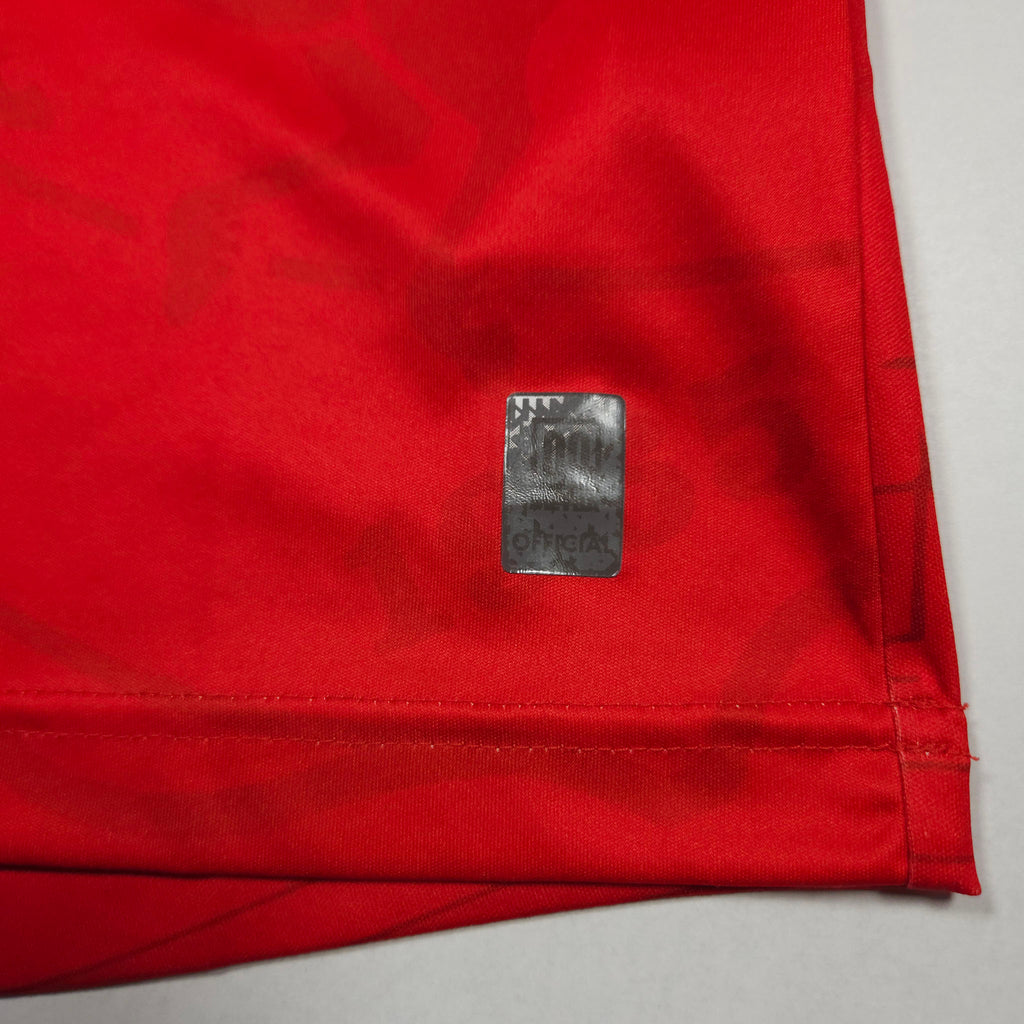 FC Twente Home Shirt 2021-22 detailed view 1