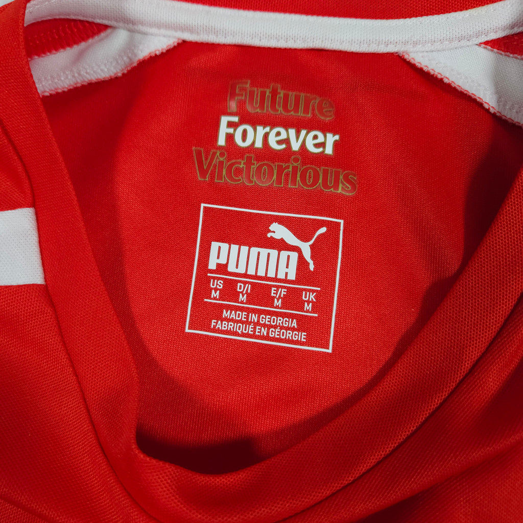 Arsenal Home Shirt 2014-15 detailed view 4