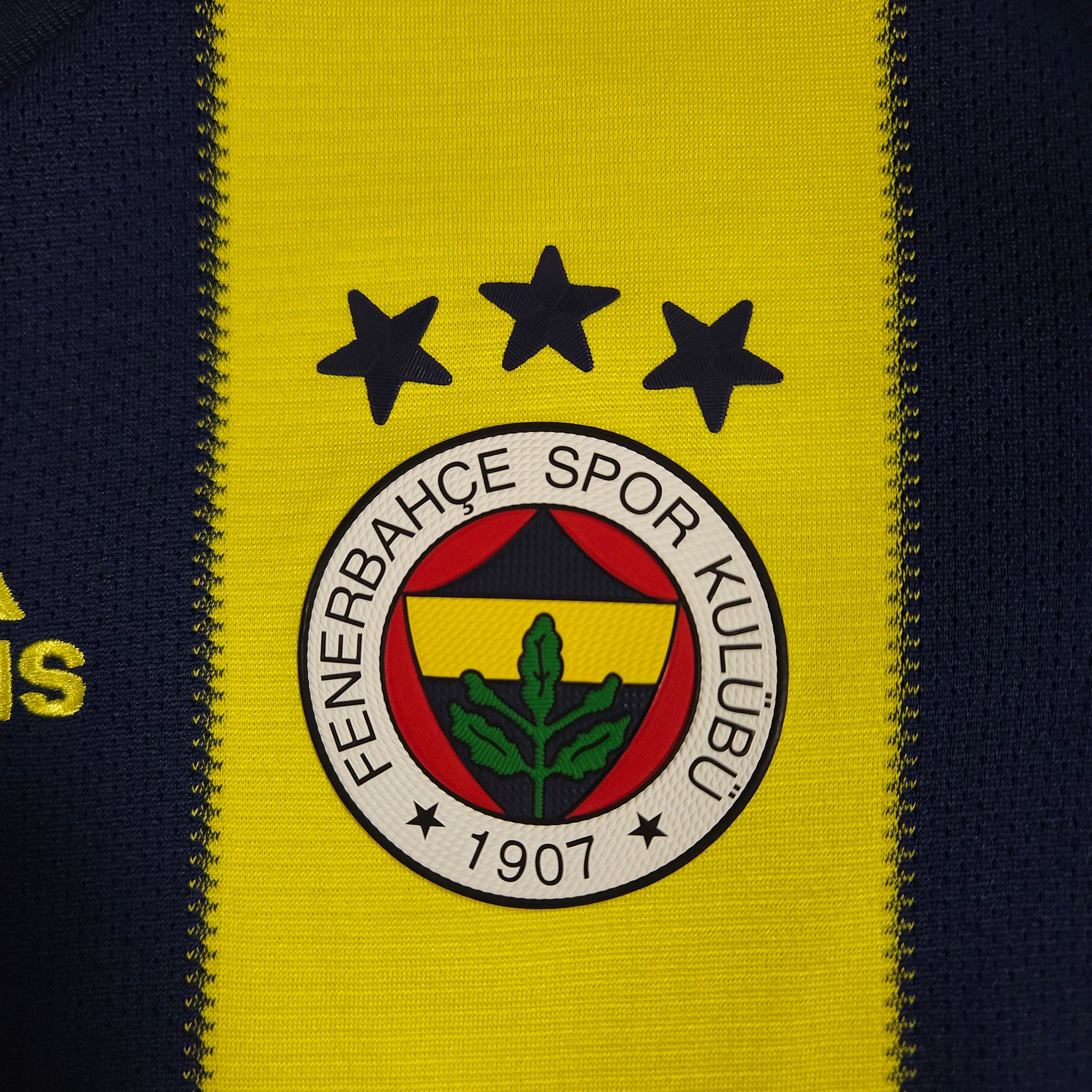 Fenerbahce Home Shirt 2018-19 detailed view 1