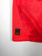 Czech Republic Home Shirt 2024-25