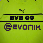 Borussia Dortmund Cup Shirt 2021-22 detailed view 1