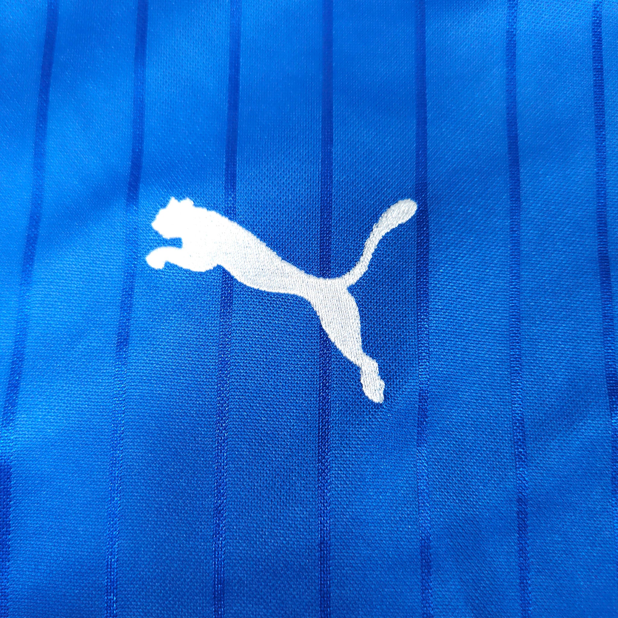 Italy Home Shirt 2016-17 detailed view 2