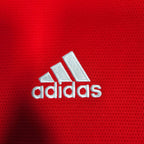 Arsenal Home Shirt 2021-22 detailed view 3