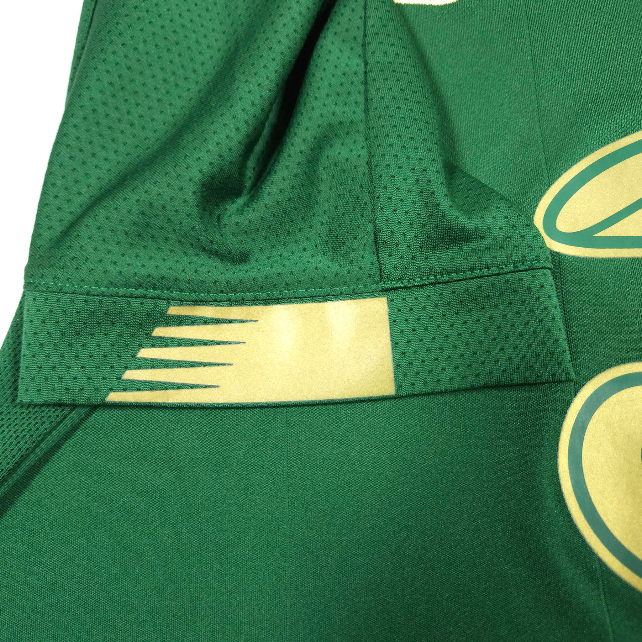 Ireland Home Shirt 2019-20 detailed view 6