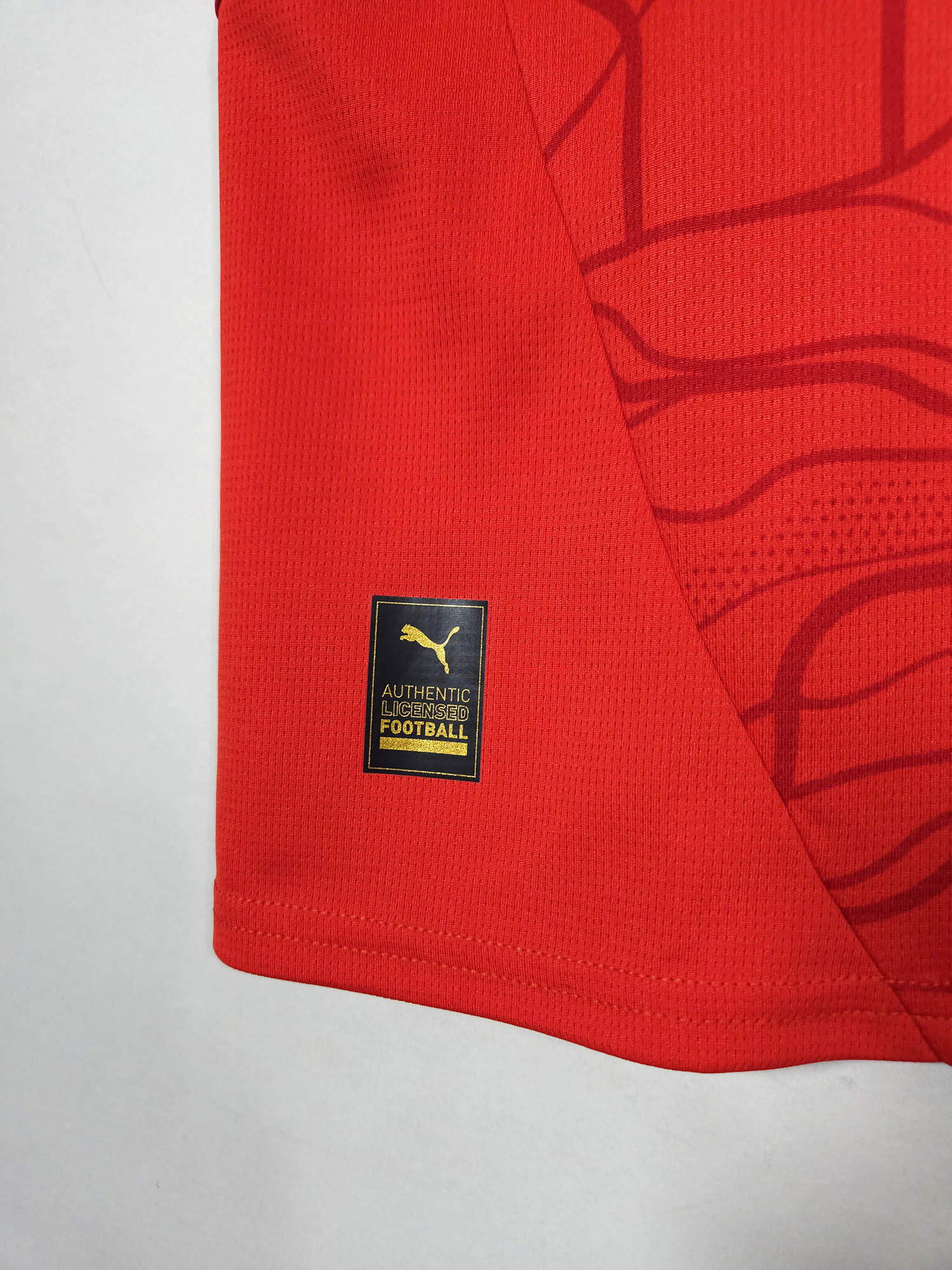 2024-25 Austria Home Shirt